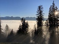 Positionspapier Landschaft