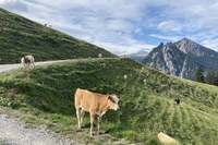 Landschaft und Landwirtschaft