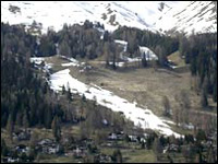 Snowcats and man-made snow as a threat to plant diversity