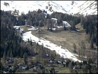 Snowcats and man-made snow as a threat to plant diversity