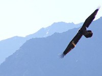 Transalpine exchange on research into protected areas