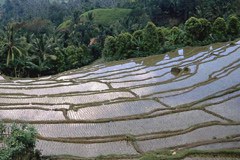 A scientific insight into mountain regions and cultures worldwide