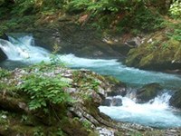 II. Report on the State of the Alps feels the pulse of the Alpine watercourses