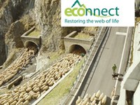 Documentation on ECONNECT results now available