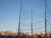 Austrian tunnel vision