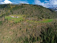 Ecosystems out of balance