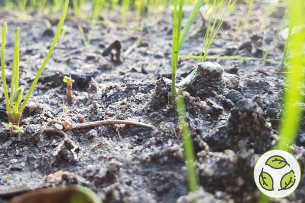 Saving land, saving soil