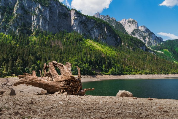 The Alps are drying up