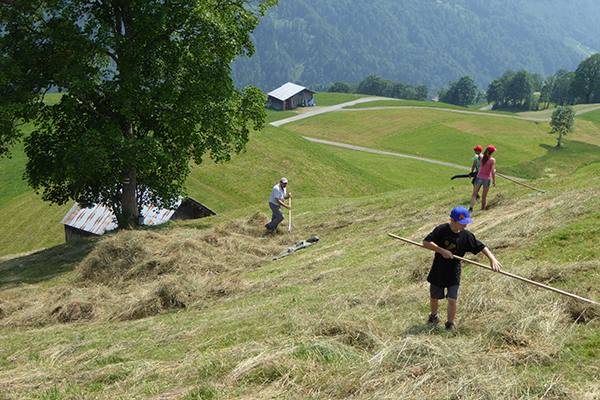 Victory and defeat for new protected areas