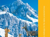 Biodiversity in time of climate change: management or wilderness?