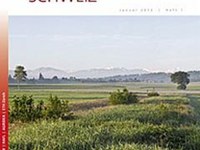 Grasshoppers and crickets benefit from connected ecological compensation areas