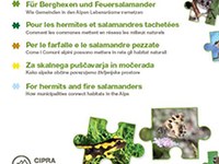 For hermits and fire salamanders