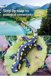 Step by Step to ecological connectivity