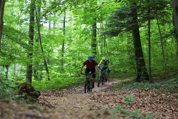 Pratique du VTT respectueuse de l’environnement