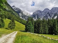 La Via Alpina a besoin de vous !