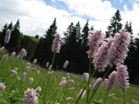 Moins de paroles, plus d’actions !