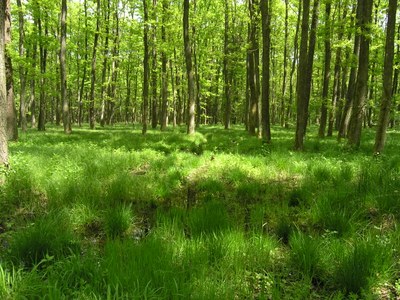 Ville, campagne et montagne en équilibre