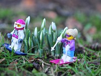 Comportements touristiques