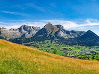 Camps et événements