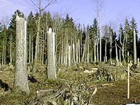 Outil d'alerte contre les intempéries en Autriche