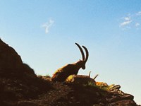 Les grands espaces protégés, pile dans la tendance touristique