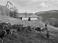 " Avenir dans les Alpes ", c'est fini !