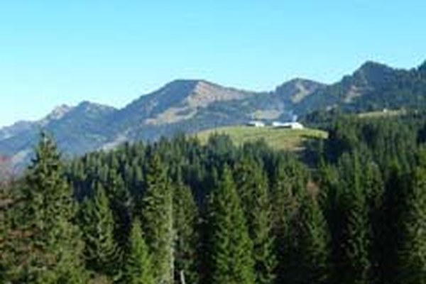 Rencontre au sommet pour les Verts de plusieurs pays