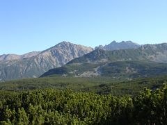 Qualité insuffisante des zones protégées dans l'UE