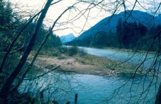 Bad Reichenhall : " A la découverte de la zone alluviale de Marzoller "