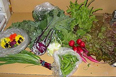 Ce n'est pas parce que le printemps est là que le marché des pesticides doit être florissant !