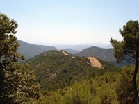 Nouvelle réglementation des collectivités publiques en Italie : danger pour les parcs nationaux