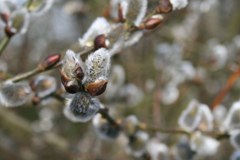 La décennie la plus chaude depuis au moins 130 ans