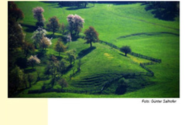 Publication " Nouveaux modèles de protection de la nature et du paysage culturel dans les parcs naturels autrichiens "