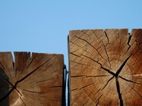 Des compacts pour tous