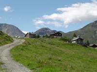 Coopération italo-suisse pour améliorer la connectivité écologique