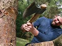 En action dans la forêt de montagne