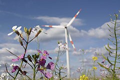 Lancement du projet recharge.green : concilier l'énergie et la nature