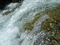 Pour que l'eau des Alpes suffise à tous