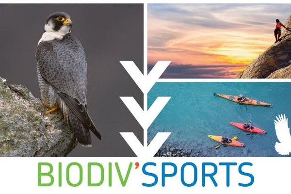 Adrien Lambert, de la LPO Savoie, concilie sport et protection de la nature