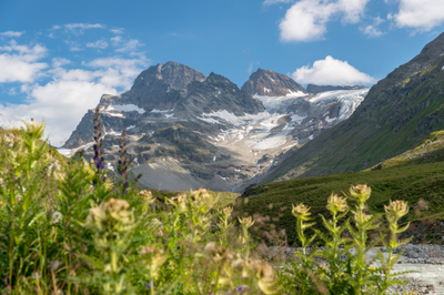 Au chevet des derniers glaciers