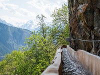 Bisses, rayes, Waale