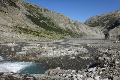Des eaux vivantes, un atout pour la biodiversité