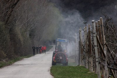 Des terrains de jeux contaminés