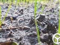 Économiser les terres, sauver les sols