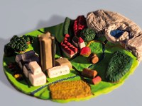 Espaces finis – besoins infinis