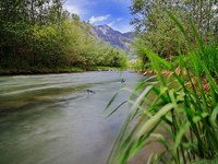 Feu vert à la restauration de la nature dans l’UE