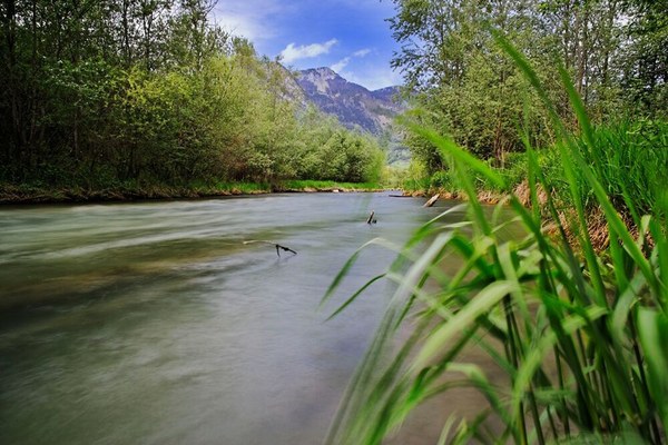 Feu vert à la restauration de la nature dans l’UE