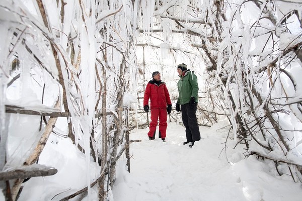 Des cônes de glace pour les glaciers