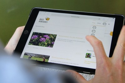 Journée mondiale des abeilles : des conseils pratiques pour les communes