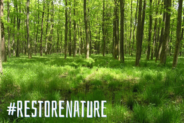 La loi sur la restauration de la nature de l’UE est-elle sur la corde raide ?